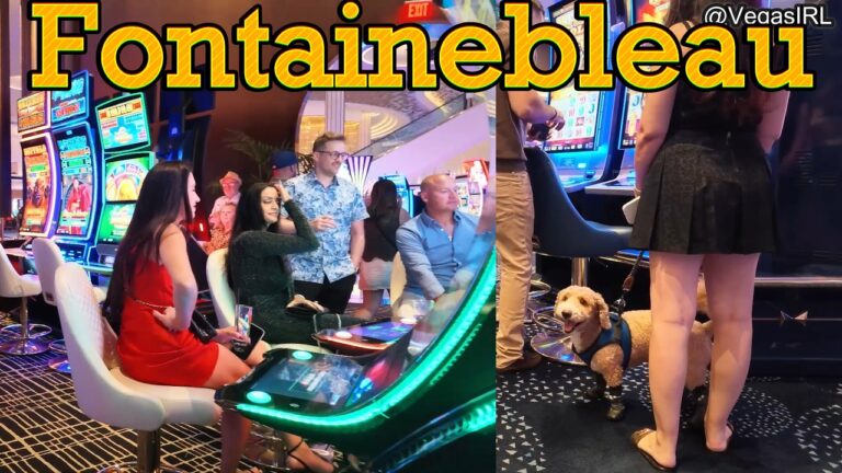 Fontainebleau part two midnight Friday night