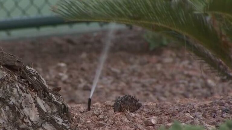 Homeowners sue Las Vegas Valley Water District over excess use charges