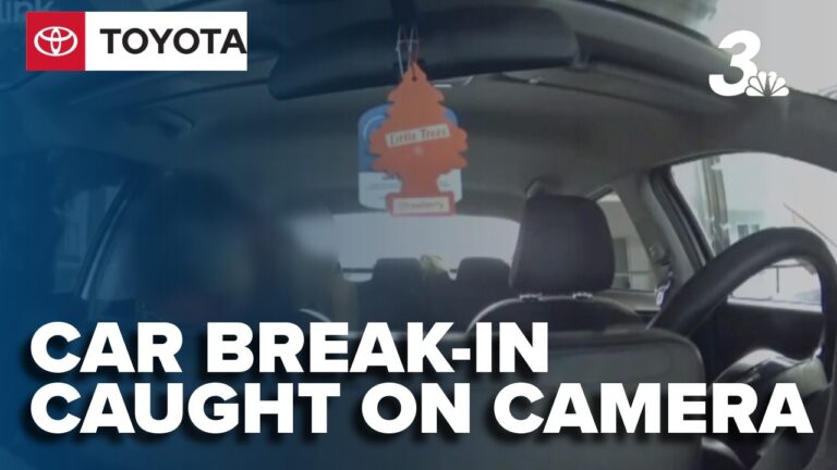 Kia owner catches attempted car theft on camera in northeast Las Vegas