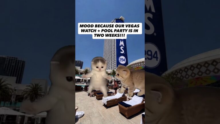 OUR LAS VEGAS WATCH + POOL PARTY AT THE PALMS ON AUGUST 28-30 IS COMING UP! WHO’S GOING? 👀🌴💙