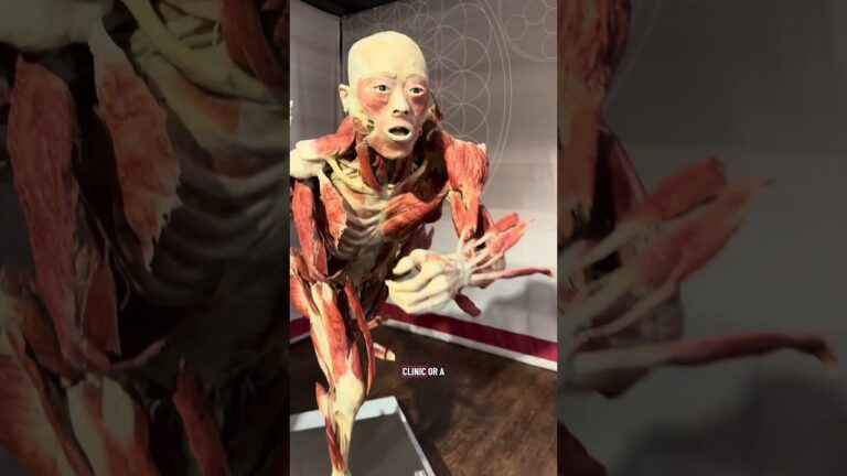 Real Bodies Horseshoe Las Vegas scientific immersive museum experience emotional exhibit educational