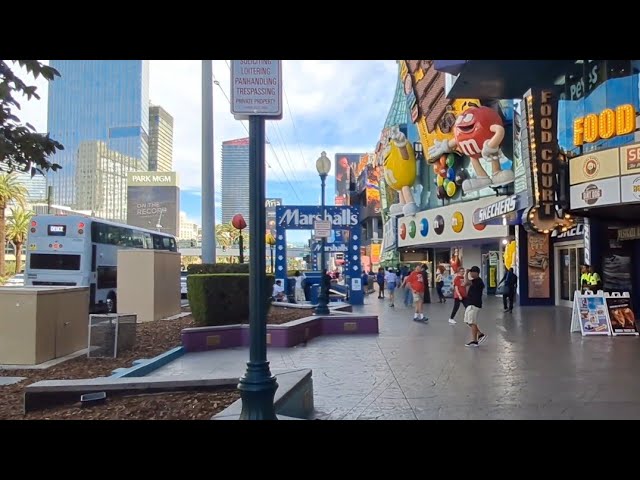 Views From The LAS VEGAS STRIP VLOG. Saturday August 29, 2026. #lonewulfrick2026