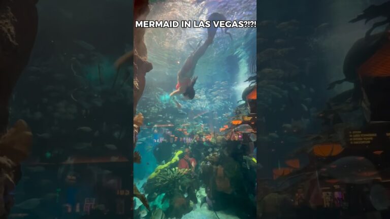We FOUND a MERMAID in LAS VEGAS?! 🧜‍♀️😳🤯 | #shorts #lasvegas #silverton #iammakehna