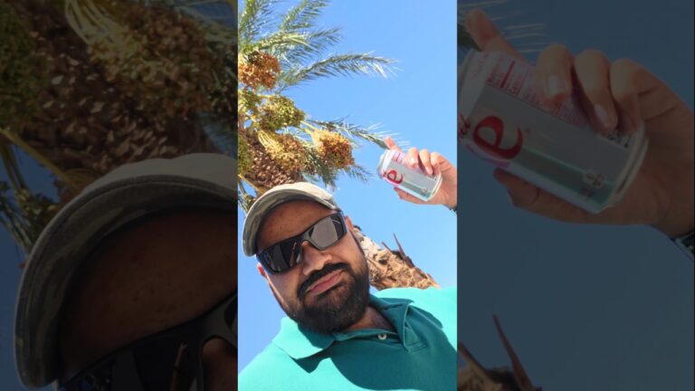 date palm trees in Las Vegas Parking lot, కర్జూరం కాయలు