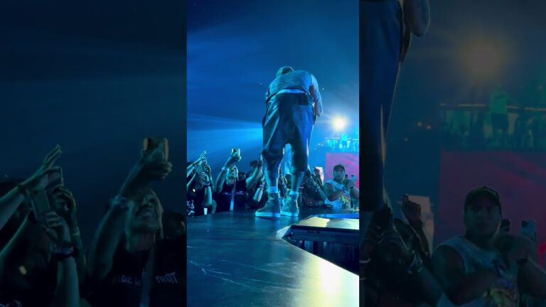 CHRIS BROWN OBVIOUS ABOUT LOVING HIS FANS BACK LAS VEGAS 3 R&B TOUR 2026