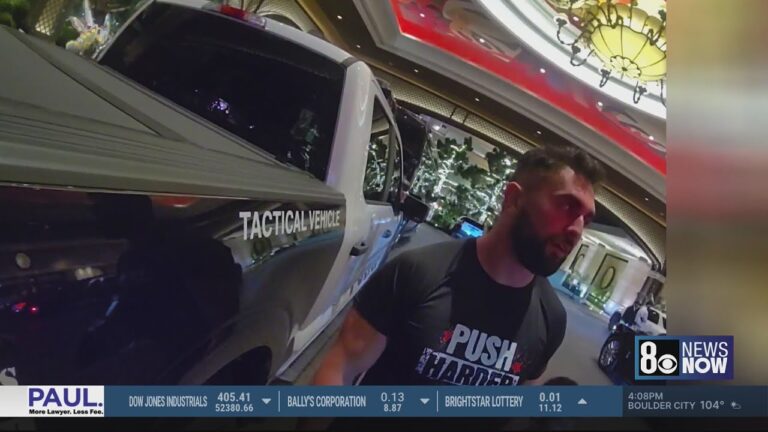 ICE arrest several people at Las Vegas airport over several months