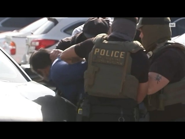 ICE detains California Assembly staffer at Las Vegas airport