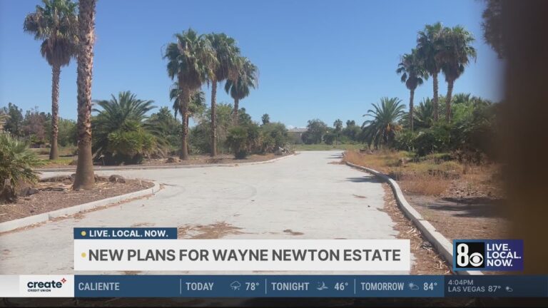 New plans for Wayne Newton Estate in Las Vegas