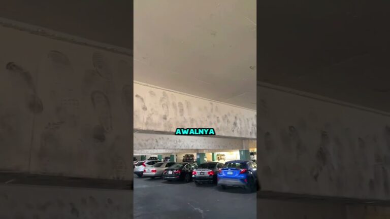 Rahasia Dibalik Jejak Kaki Aneh Las Vegas?! 😱
