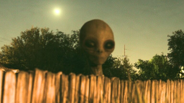 The Las Vegas Backyard Alien