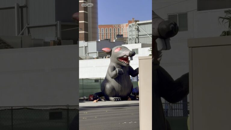The Royal Resort is Leaving Las Vegas Part 2