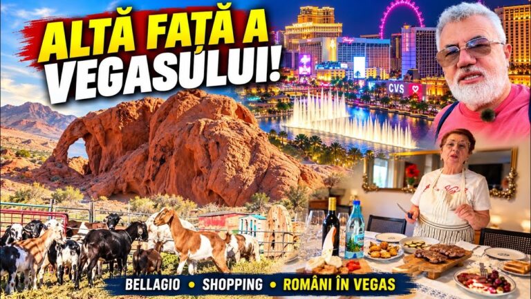 Cum traiesc romanii in Vegas? Breakfast la Bellagio! Ferma de capre! Stanca elefantului