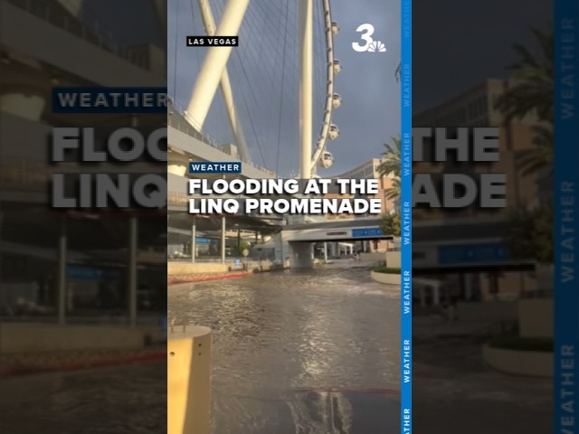 Flash flooding sends water rushing through streets near Las Vegas strip