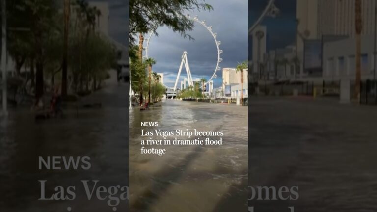 Las Vegas Strip becomes a river in dramatic flood footage