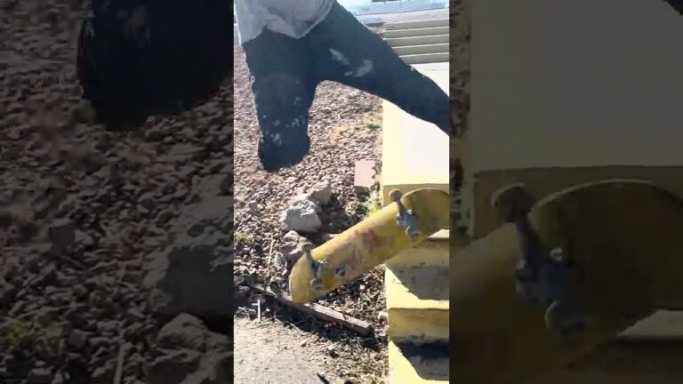 Location to Las Vegas street skating on this channel #skate #skateboarding #new #lasvegas #trending