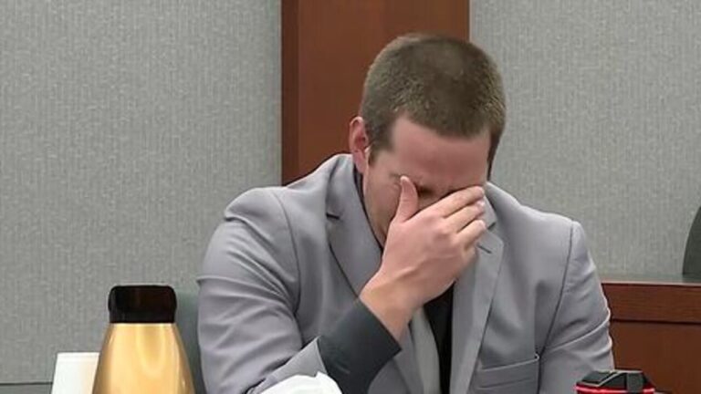 Man accused of injuring Las Vegas Strip flamingo testifies in animal cruelty trial