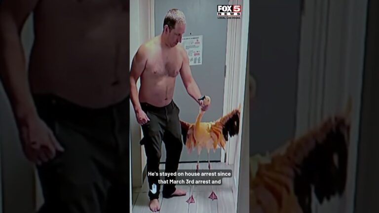 Man accused of stealing Las Vegas flamingo found guilty