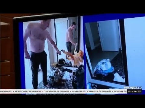 Man who snatched Peachy the flamingo from Las Vegas hotel exhibit found guilty of animal cruelty