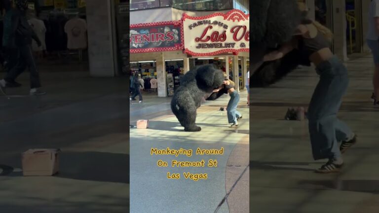 Monkeying Around on Fremont St in Las Vegas #fremontstreetlasvegas #lasvegas #gorillatag