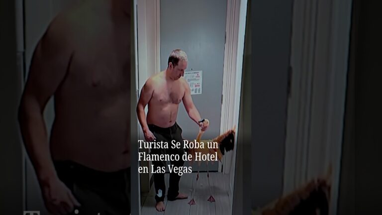 Turista Se Roba un Flamenco de Hotel en Las Vegas