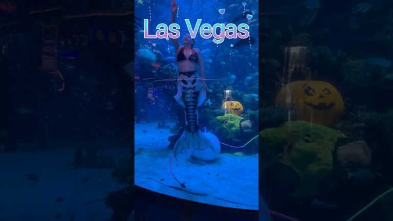 UNDER THE SEA IN VEGAS! #vegas #mermaid #bassproshop #halloween