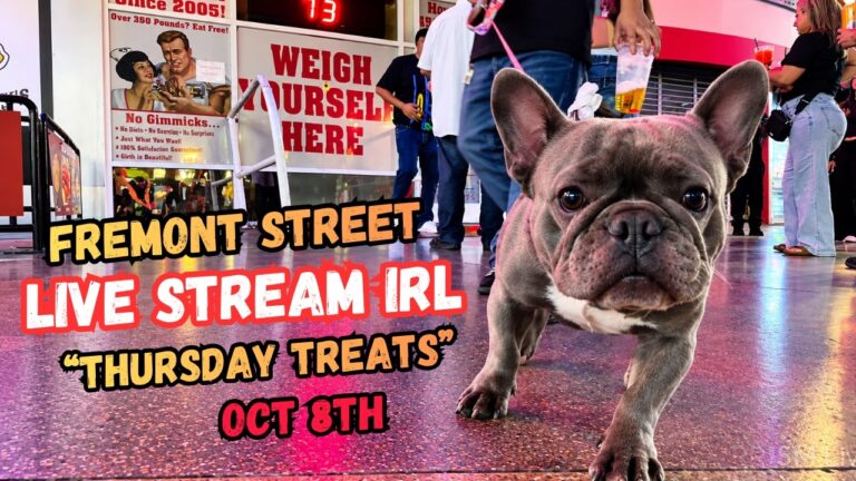 Woof! Thursday Treats on Fremont Street – LIVESTREAM IRL